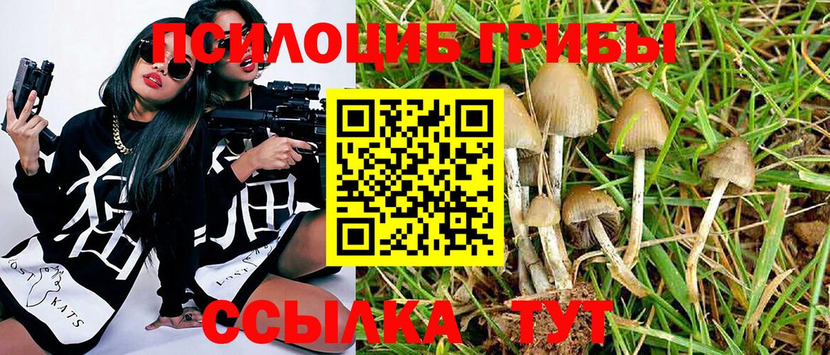 Кострома  Галлюциногенные грибы GOLDEN TEACHER  Вход с VPN  Псилоцибиновые грибы Psilocybine cubensis 